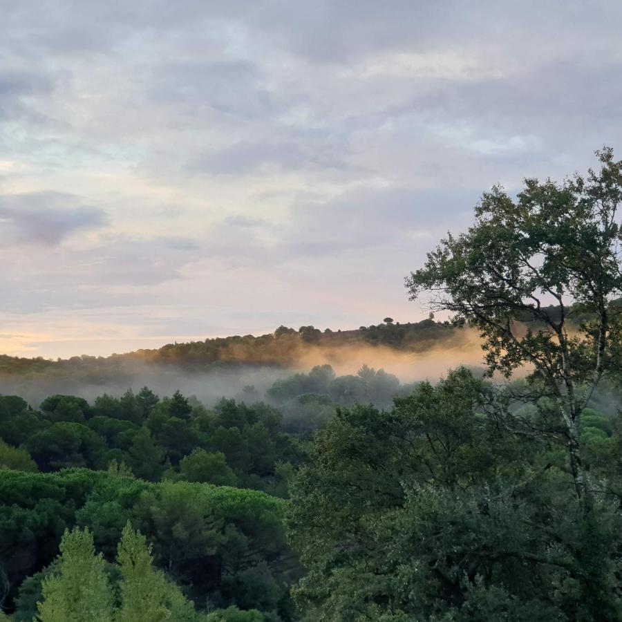 Charmant Studio proche Lac et Forêt Carcassonne Exterior foto